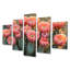 Cactus en pleine floraison à l'aube I - Art mural floral cactus - ensemble d'art mural traditionnel