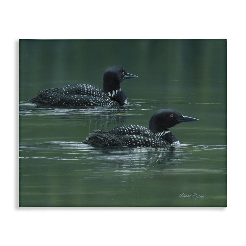  Art mural sur toile Peaceful Loon Duo par Valerie Rogers, H 16 po x l 20 po