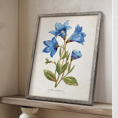 Botanical II Framed Print - Solid Wood