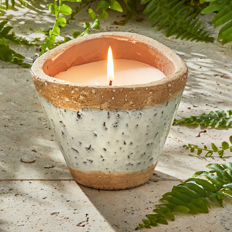 Laguna Rustic Rim Citro Pot