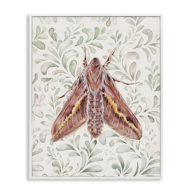 Giclée encadrée «Moth Over Leaf Sprig», conception par Cady, H 14 po x l 11 po, Estampe numérique encadrée blanc bord de mer