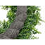 30" Artificial Boxwood Wreath