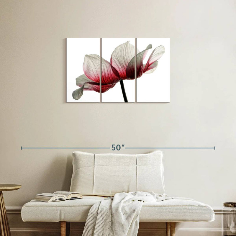 Renoncule rouge et blanc Harnek, H 20 po x l 33 po