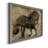 " Midnight Stallion "-1100457537-1100457562