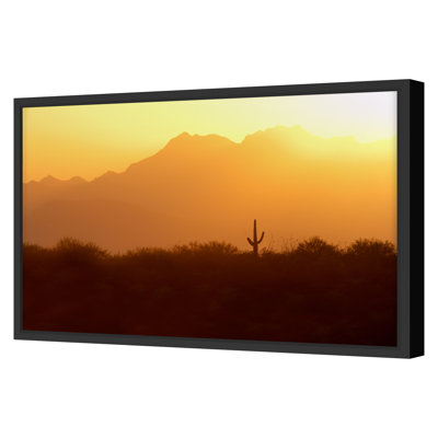Saguaro National Park, Arizona Print by PhotoDF