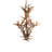Jamius 8 - Light Steel Chandelier