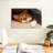 Crowle Cozy Cat-111859392