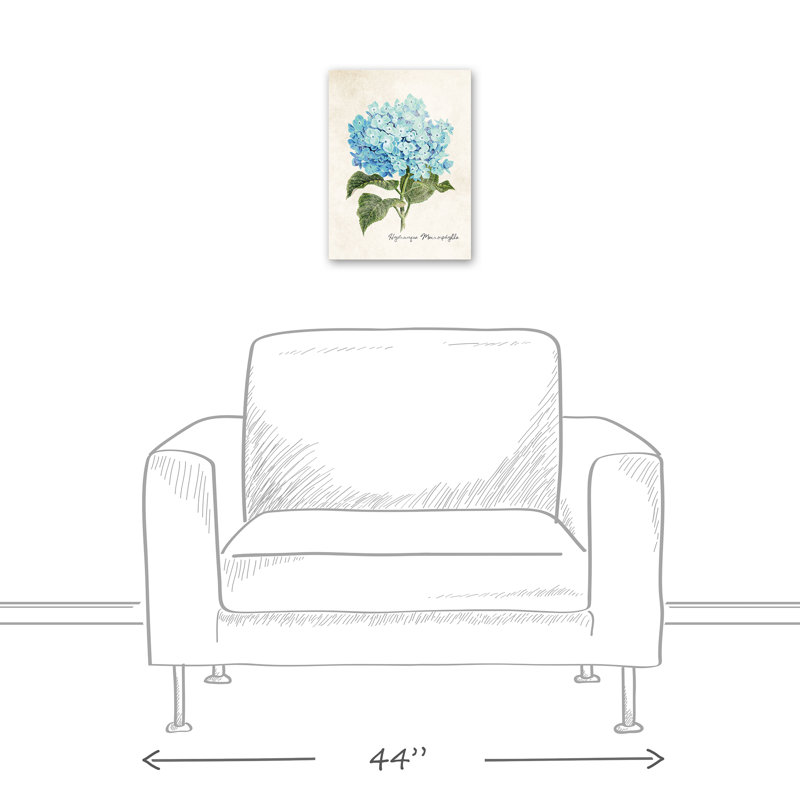 Illustration d'hortensia - aucune impression de cadre, 16" H x 12" W x 1.25" D