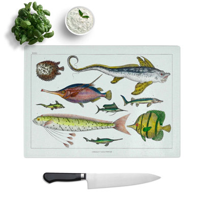 Tempered Glass Various Fishes Xxxii by Oliver Goldsmith Chopping Board