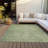 Terra Aloe Washable Indoor-Outdoor Rug - -1459069752