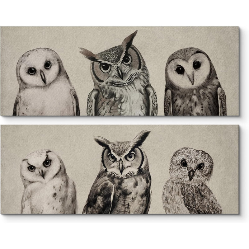 " Owls Animal "