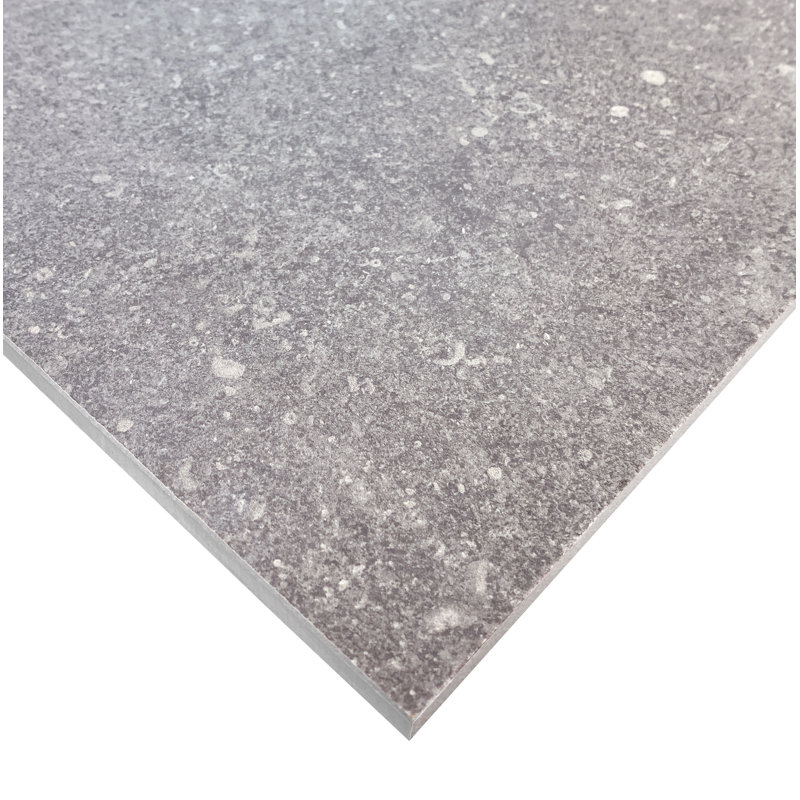 Ambience 24" x 24" Porcelain Stone Look Wall & Floor Tile, Gray