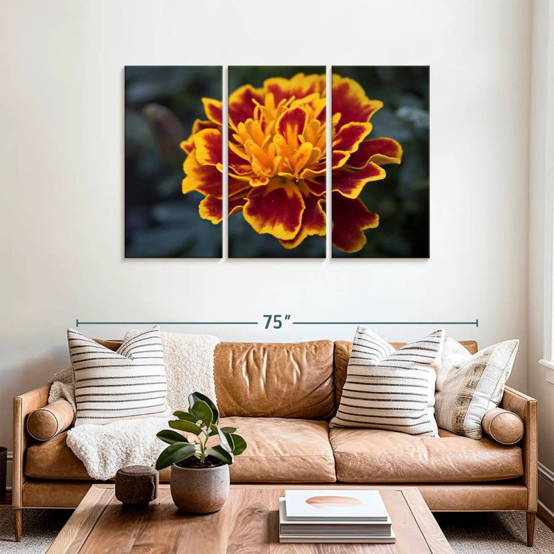 Harnek Red Marigold Flower, 36" H x 57" W