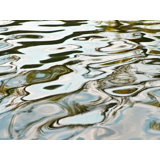 Water_6610 Print by Rica Belna