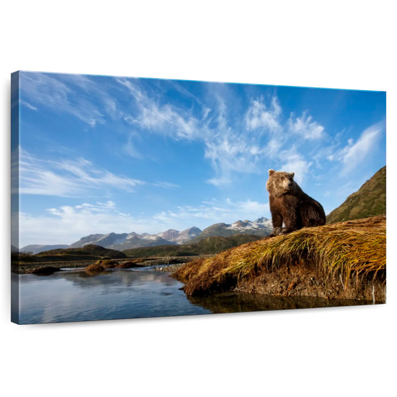 Brown Bear In Katmai National Park, H 16 po x l 24 po
