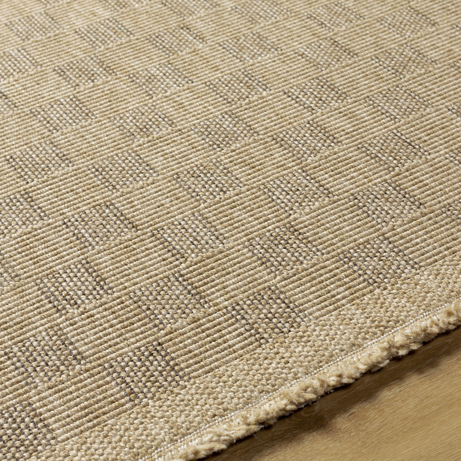 Abbie Checkered Outdoor Rug, Rectangle 2'1" x 3'8"