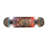 Rech Flush Mounted Sconce