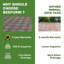 BEEFurni - Carreaux de terrasse en bois emboîtables 12 po x 12 po-112121235