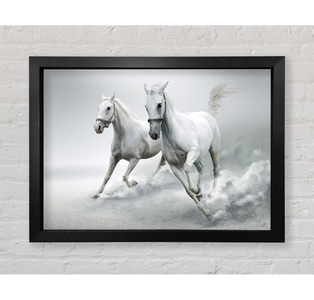 White Duo Horses - Einzelner Bilderrahmen Kunstdrucke