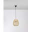1 - Light Black Sphere Pendant