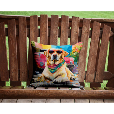 Other/No Pattern Outdoor Throw Pillow