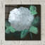 Art mural en verre Ivy Bronx «Hydrangea 1» par Chris Paschke-286651021