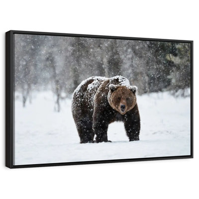 Ours grizzly d'hiver