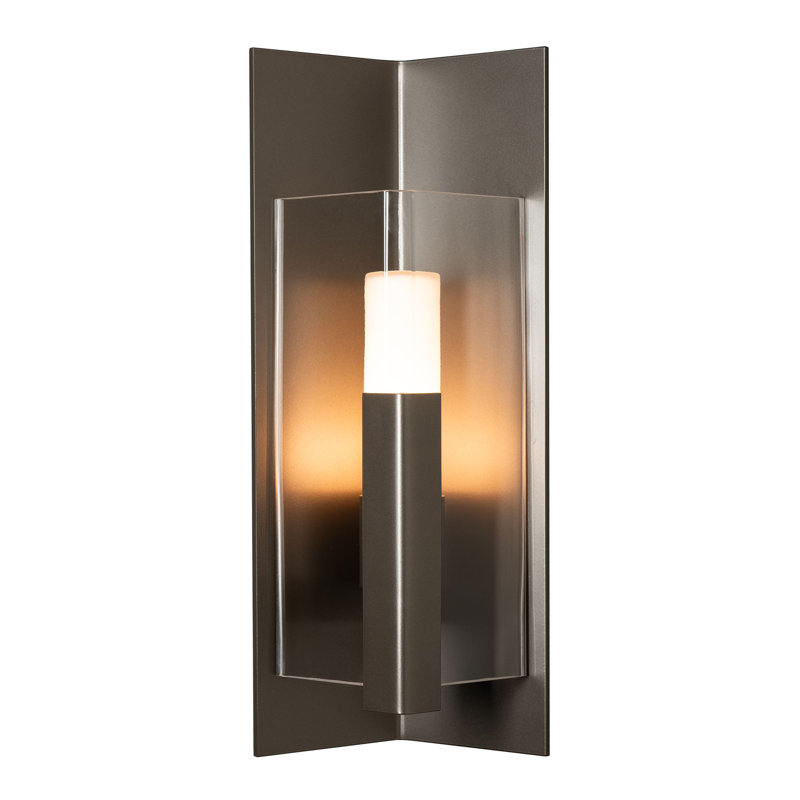 Summit Steel Wall Light, Clear, 18.7" H x 7.9" W x 6.3" D, Coastal Dark Smoke