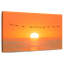 Kerrick s'envole au soleil-107923824