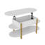 Coffee Table-232008983