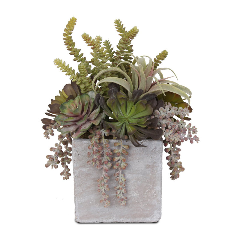 Faux Succulent in Stone Pot