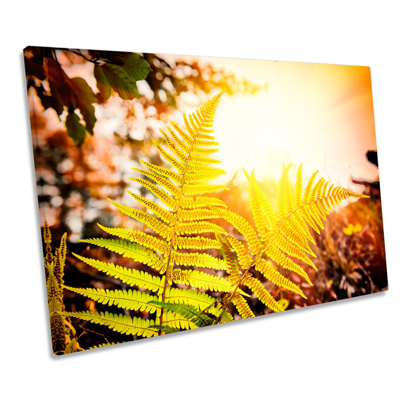 Floral Ferns Sunset - Wrapped Canvas Art Prints, 50.8cm H x 76.2cm W x 2cm D
