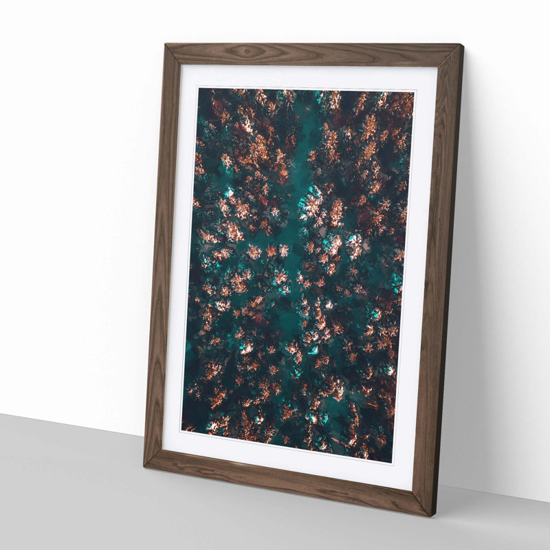 View of a Forest in Oslo Norway in Abstract - Picture Frame Graphic Art Print, 60cm H x 40cm W x 2cm D, Walnut