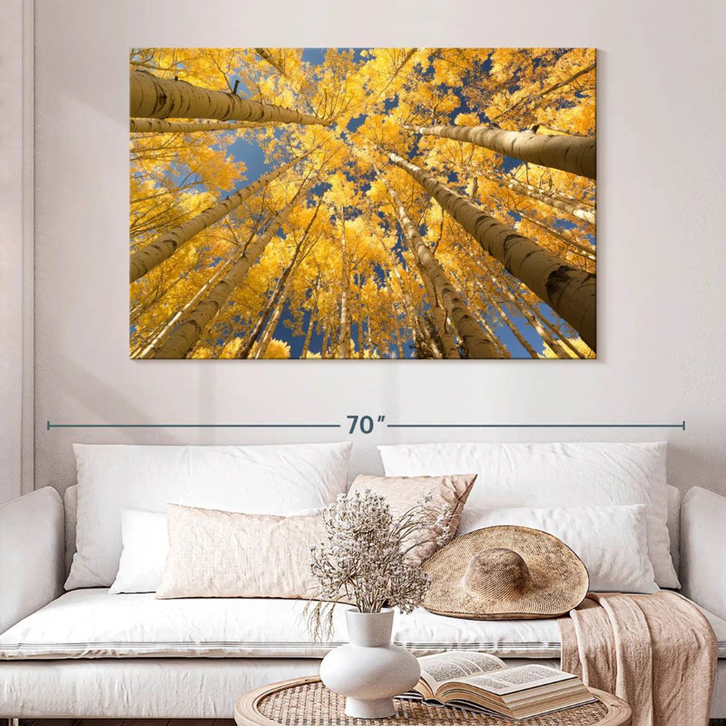 Harnek Golden Aspen Canopy, 34" H x 51" W