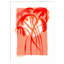 «Galya Palms At Sunset» par Treechild, impression sur bois encadrée-100477594-100477590