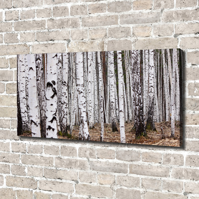 Birch-Tree - Wrapped Canvas Print