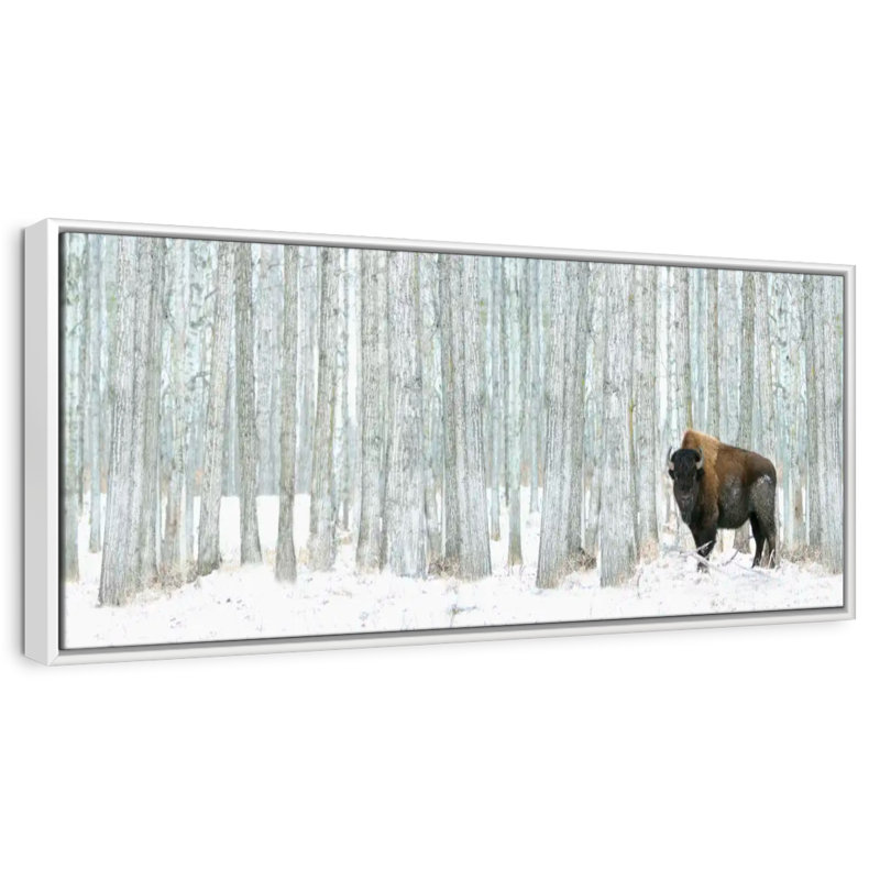 Alberta Winter, Cadre flottant blanc, 49 po x 17 po