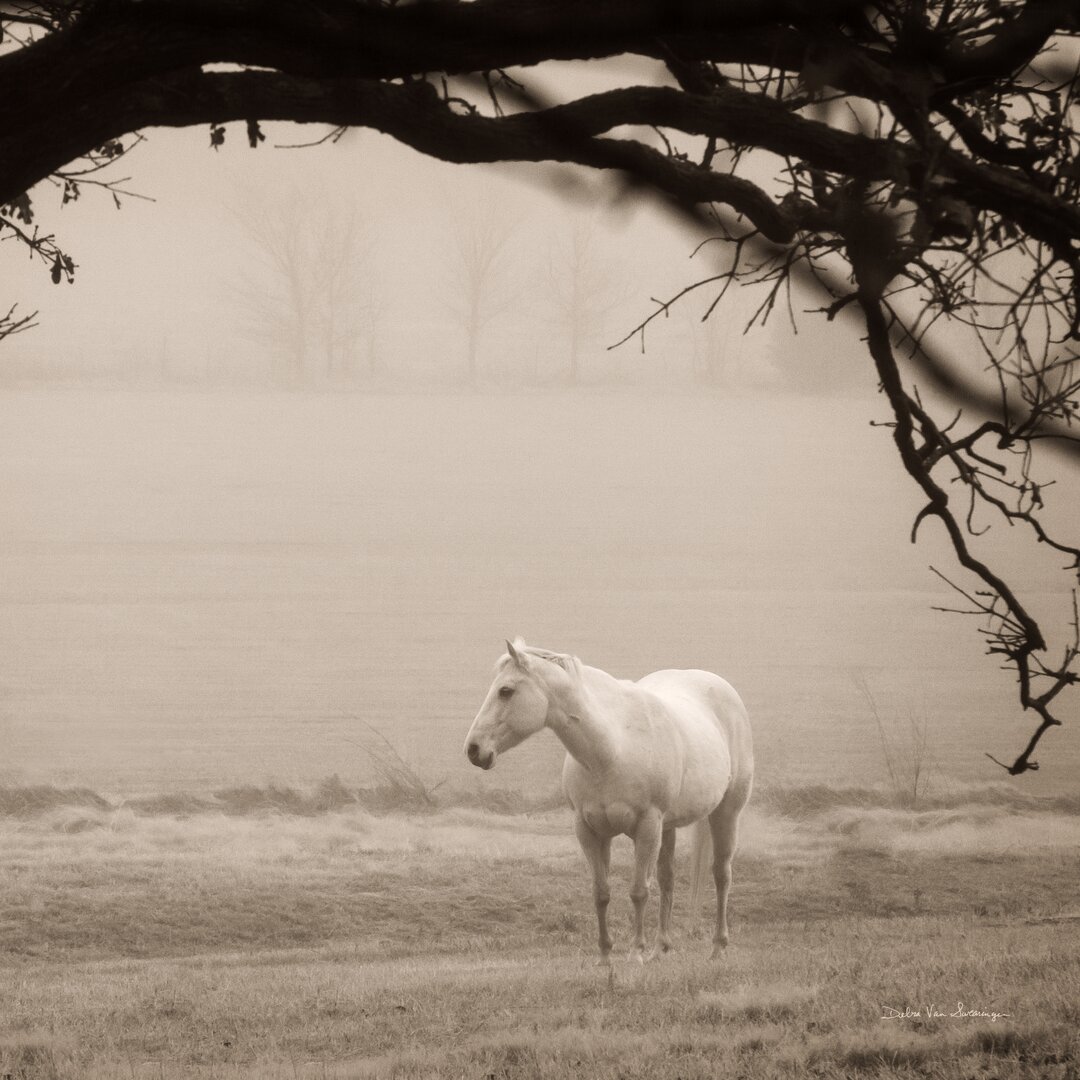 Leinwandbild Hazy Horse II von Debra Van Swearingen