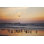 Kalaloch Birds III