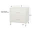 Camylle 30'' Wide 2 -Drawer File Cabinet-1406174792