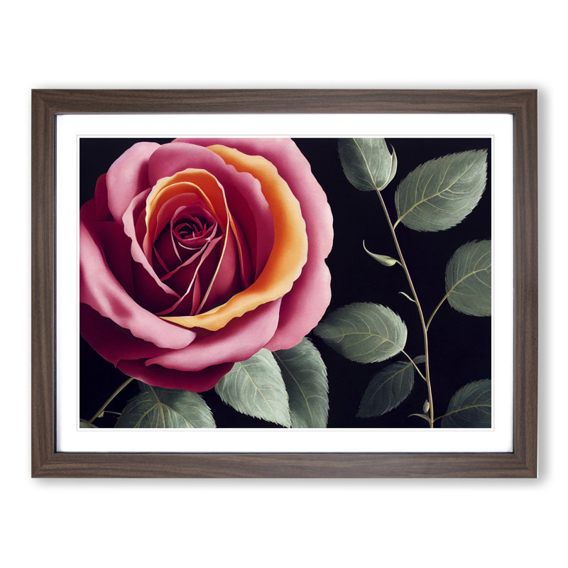 Beaming Rose Flower - Framed Print, Walnut, 25cm H x 34cm W x 2cm D