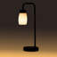 Alakai 41cm Table Lamp-106543012