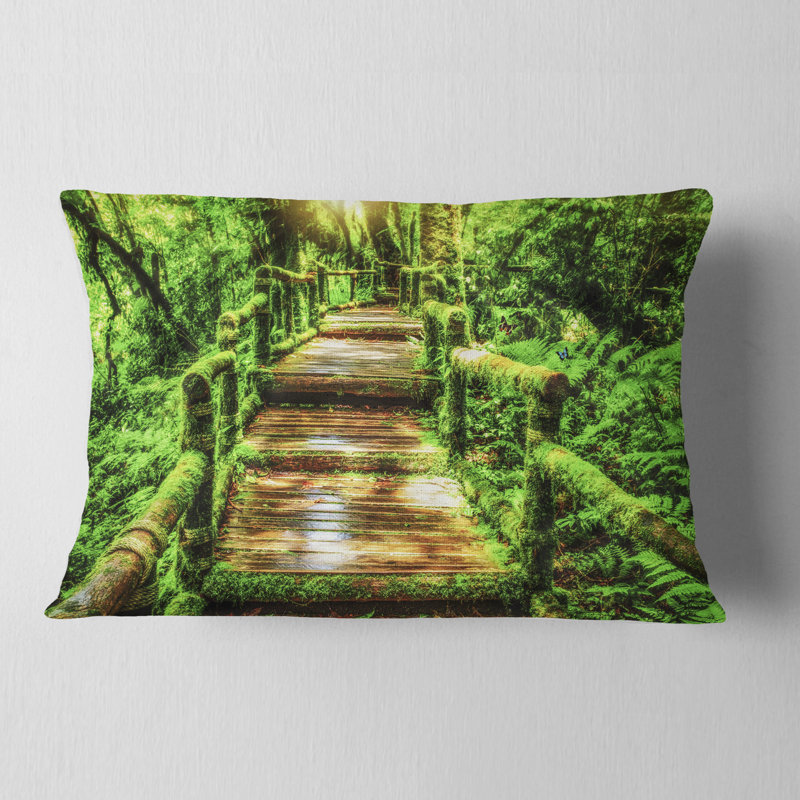 Coussin de pluie en mousse à l’intérieur de la photographie