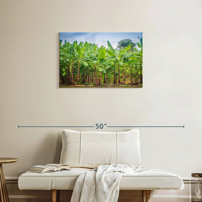 Plantation de bananes Harnek, H 20 po x l 30 po