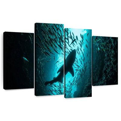 Shark Depth