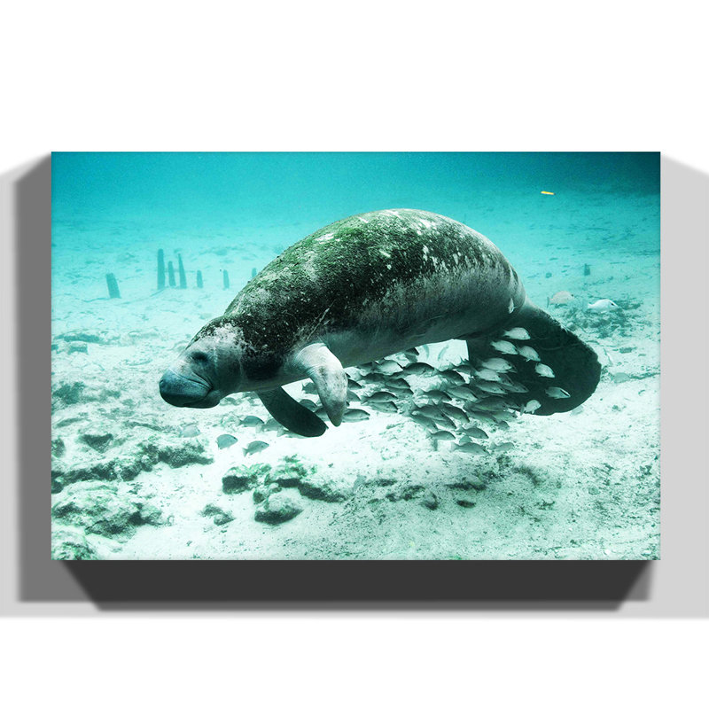 Wrapped Canvas Print, 50cm H x 76cm W