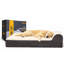 Lit pour chien Braham Jumbo - Mousse à mémoire de forme de 7 po d'épaisseur avec coussin, housse amovible et doublure imperméable