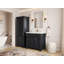 Gallipolis 36 In. W X 22 In. D Centre Sink Bathroom Vanity In Black With 2 In. Quartz-703139559
