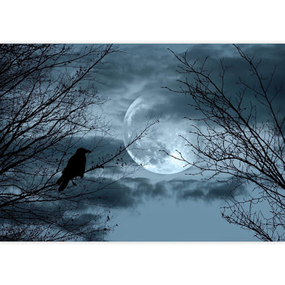 Moon Peel & Stick Clear Border