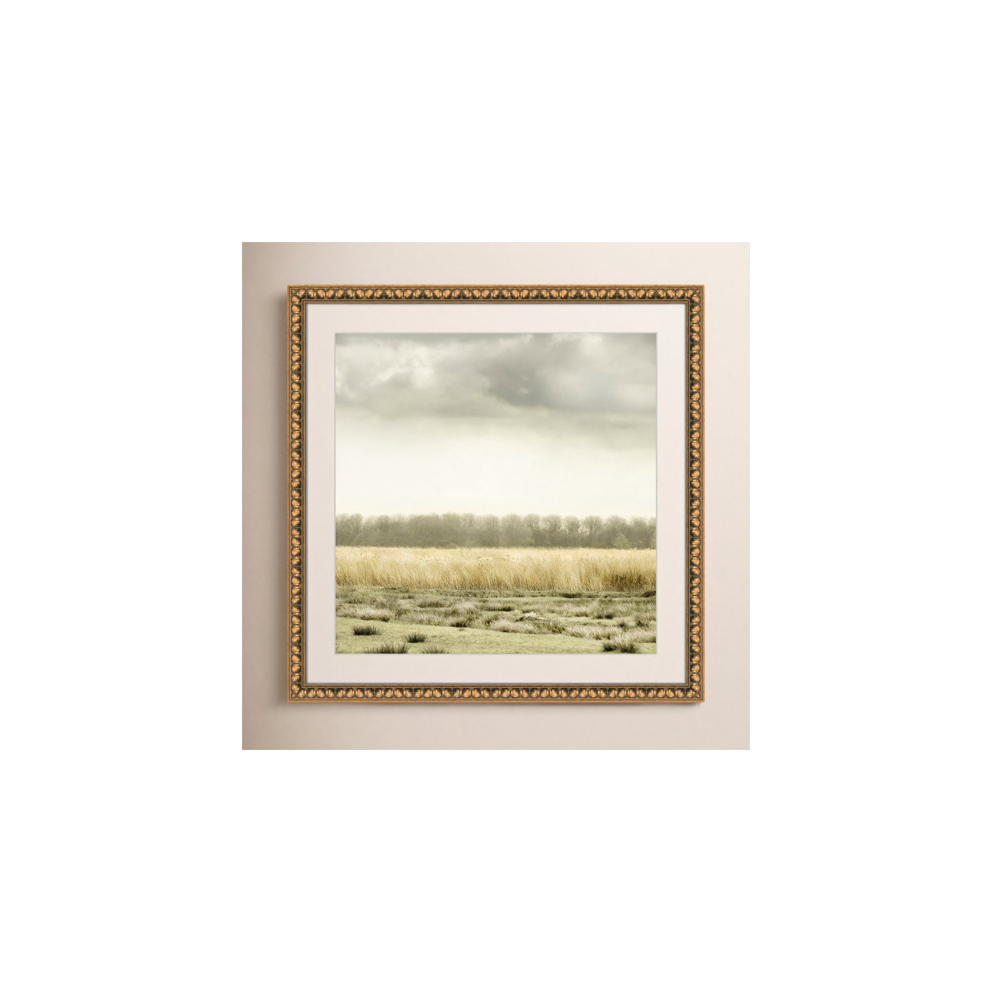 Meadowland by Danita Delimont - Picture Frame Photograph, 28.75" H x 28.75" W , Gold Bead